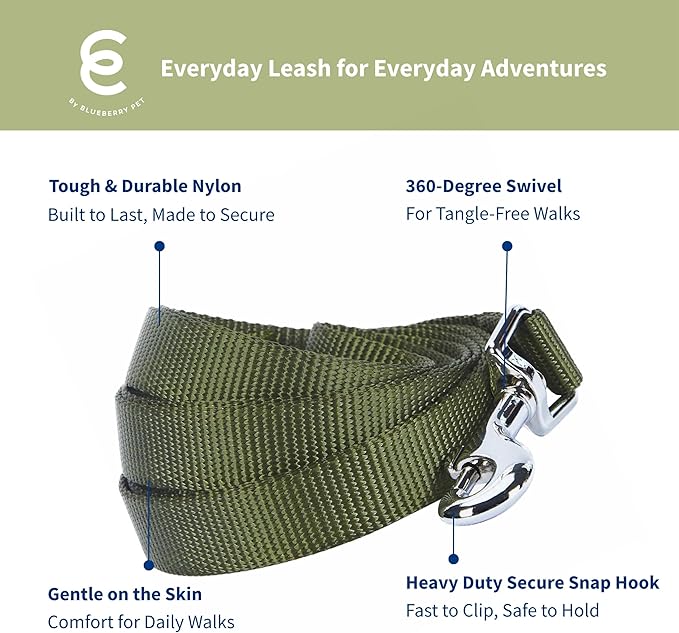 Blueberry Pet Essentials Military Green Dog Leash for Medium - 5' * 3/4" Dogs | Heavy Duty Nylon Lead | Lightweight Puppy & Cat Leash for Walking & Training
