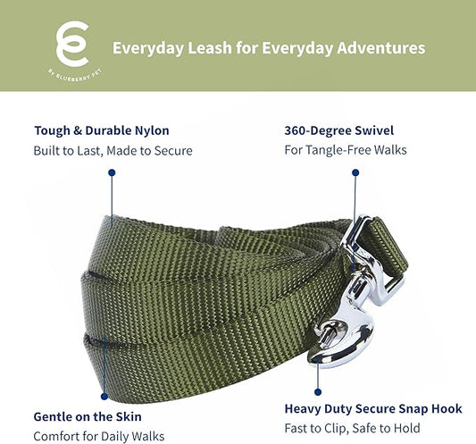 Blueberry Pet Essentials Military Green Dog Leash for Medium - 5' * 3/4" Dogs | Heavy Duty Nylon Lead | Lightweight Puppy & Cat Leash for Walking & Training