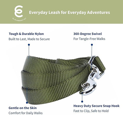 Blueberry Pet Essentials Military Green Dog Leash for Small -5' * 5/8" Dogs | Heavy Duty Nylon Lead | Lightweight Puppy & Cat Leash for Walking & Training