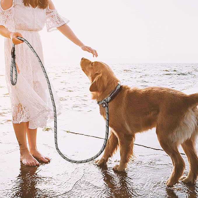 TwoEar 6FT Slip Lead Dog Leash, Heavy Duty Slip Leash for Dogs with Highly Reflective, Strong Rope Slip Leads No Pull Pet Training Leashes for Small Dogs (1/2", Grey)