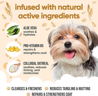 Oatmeal Dog Shampoo for Smelly Dogs (16.90oz) - Hypoallergenic & Itch Relief Formula, Gentle on Sensitive Skin, Includes Dog Shampoo and Conditioner - Essential Dog Grooming Supplies