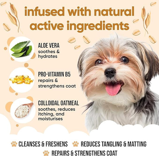 Oatmeal Dog Shampoo for Smelly Dogs (16.90oz) - Hypoallergenic & Itch Relief Formula, Gentle on Sensitive Skin, Includes Dog Shampoo and Conditioner - Essential Dog Grooming Supplies