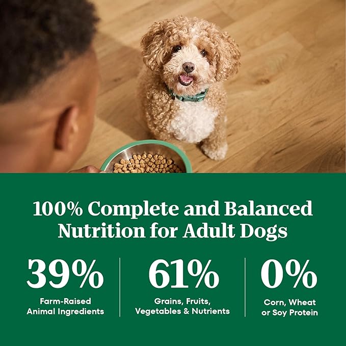 Nutro Natural Choice Adult Small Bites Dog Food, Lamb & Brown Rice Recipe, 5 lb. Bag