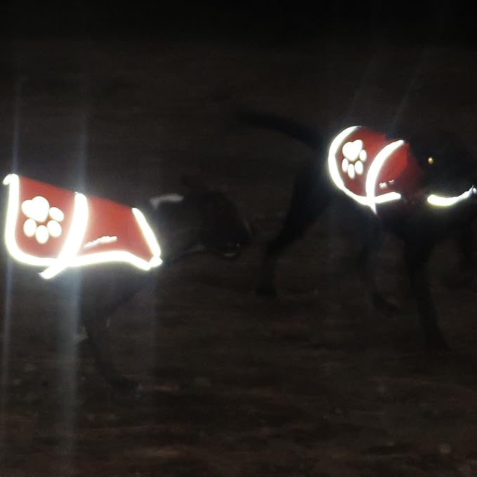 SafetyPUP XD Dog Reflective Vest – Hi-Vis Fluorescent Visibility That Helps to Safeguard Your Pet On/Off Leash in Urban & Rural Areas (Pink, Small)