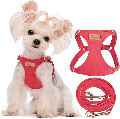 Puppytie No Pull xs Dog Harness with Multifunction Dog Leash,Soft Adjustable No Choke Escape Proof Pet Harness Vest,red-Camellia,XS