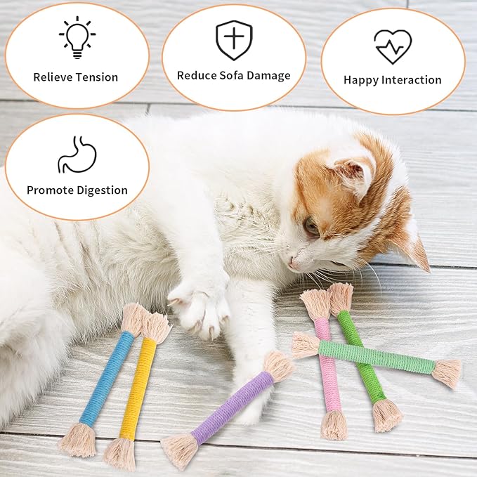 Retro Shaw Kitten Toys 4Pcs, Cat Chew Ropes with Refillable Natural Catnip, Safe Teeth Cleaning Kitty Toys for Indoor Cats Nip Kicker Interactive Pet Toy