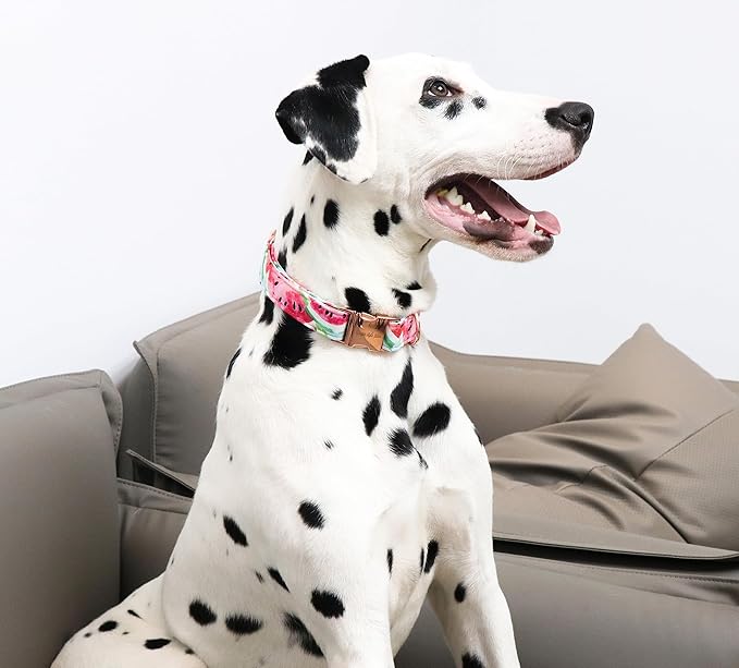 Unique style paws Dog Collar Metal Buckle Watermelon Collar Gift Durable Cute Collar for Small Medium Large Boys Girls Dogs