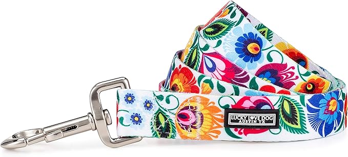 Lucky Love Dog Leash – Soft, Durable, and Comfortable Leash with Vibrant Patterns – Stylish and Long Lasting for Small Male and Female Dogs – Ladybird, Small
