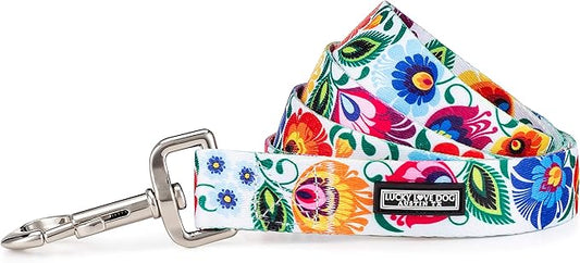 Lucky Love Dog Leash – Soft, Durable, and Comfortable Leash with Vibrant Patterns – Stylish and Long Lasting for Large Male and Female Dogs – Ladybird, Large