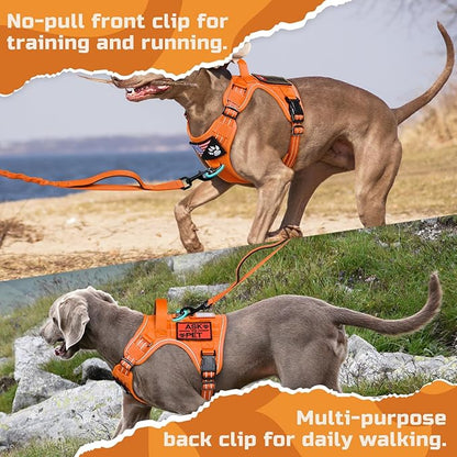 rabbitgoo Tactical Dog Harness Medium Sized Dog, No Pull Military Service Vest with Handle & Molle, Easy Control for Training Walking, Adjustable Reflective Straps, Orange, M