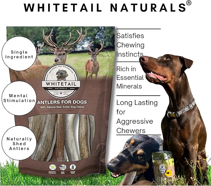 WhiteTail Naturals (3 Pack Deer Antlers for Large Dogs, Antler Dog Chews - Crafted in USA Dog Antler - Long Lasting Bone for Aggressive Chewers