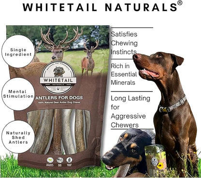 WhiteTail Naturals (3 Pack Deer Antlers for Large Dogs, Antler Dog Chews - Crafted in USA Dog Antler - Long Lasting Bone for Aggressive Chewers