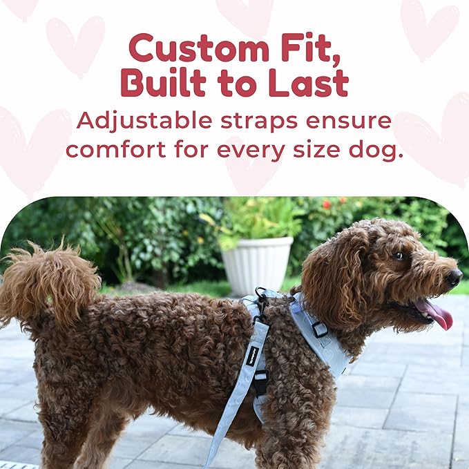 No-Pull, No-Choke Dog Harness & Leash Set – Stylish & Fun – Lightweight, Breathable Neoprene – Unique Heart Pattern – Adjustable for Extra Small to Medium Dogs (Harness Leash Set-Blue, X-Small)