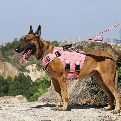 ICEFANG GN3 Tactical Dog Harness for X-Large Dogs, 6X Quick-Release Buckles,Dog Molle Vest with Handle,3/4 Body, Hook and Loop Panel for ID Patch,No Pulling Front Clip (XL (Chest: 31"-40"), Pink)
