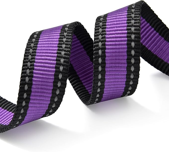 Mile High Life Dog Collar | Nylon Reflective Dog Collars | Light Weight Puppy Collars | Purple Dog Collars for Medium Dogs (Purple, Medium)