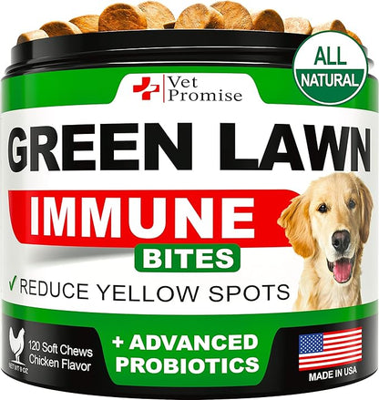 Vet Promise Grass Burn Spot Chews - Dog Urine Neutralizer for Lawn - 120 Grass Green Treats, Rocks - Pee Grass Spot Saver Caused by Dog Urine - Probiotics - Digestive Enzymes - Made in USA