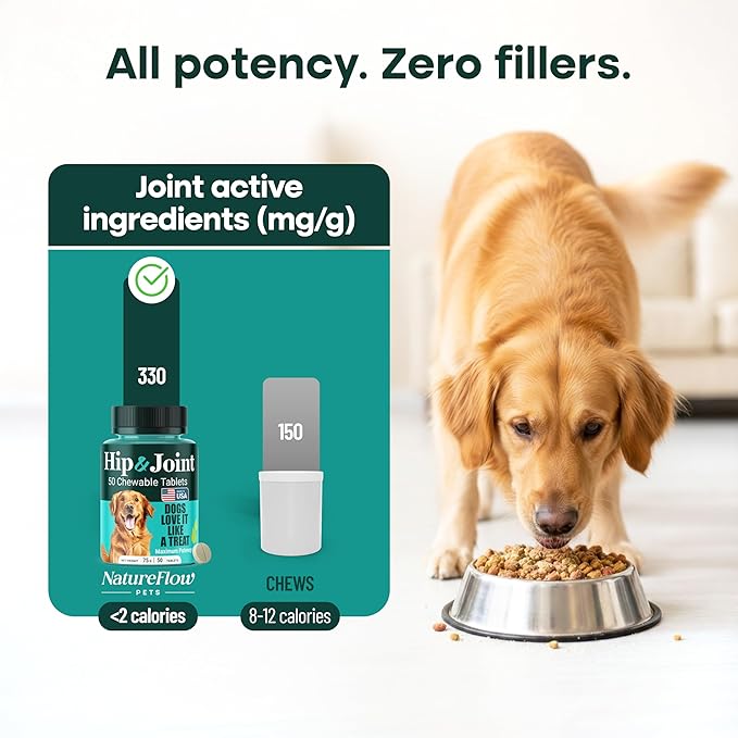 Natureflow Hip and Joint Supplement for Dogs, Advanced Dog Joint Supplement with Green-Lipped Mussel, Glucosamine, MSM & Chondroitin, Zero Sugar Chewable Pills, Made in USA, Large Medium Small Breeds