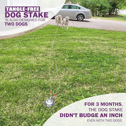 360° Swivel Dog Tie Out Cable and Stake - 30 Ft Dog Yard Leash and Stake Rust Proof for Small Medium Large Dogs - Petfect for Grass Yard Camping Outdoor