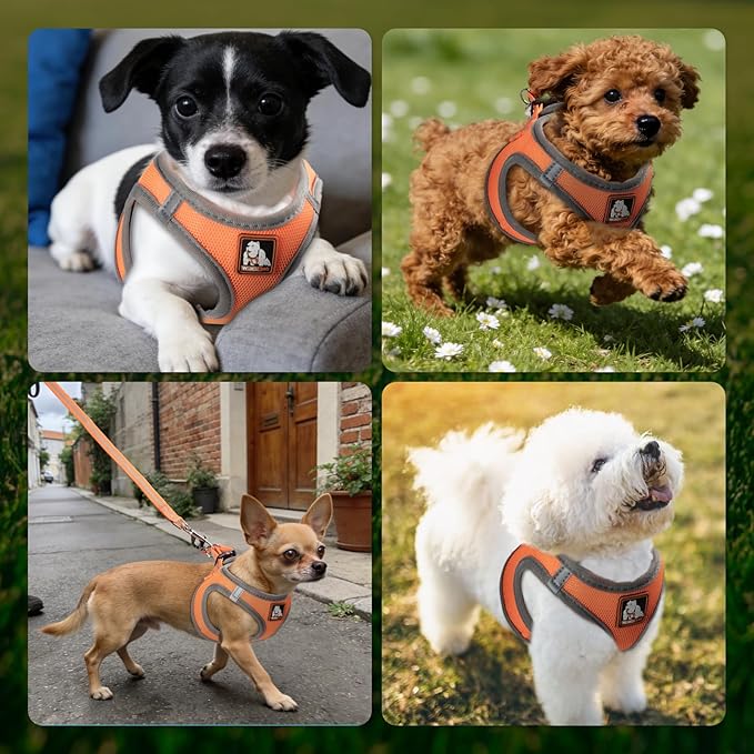 Dog Harness Medium Sized Dogs, Puppy Harness and Leash Set for Training, Running, Walking, Suitable for Small and Medium Dog Vest, Orange, S