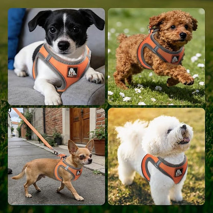Dog Harness Medium Sized Dogs, Puppy Harness and Leash Set for Training, Running, Walking, Suitable for Small and Medium Dog Vest, Orange, S