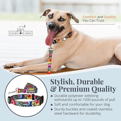 Lucky Love Dog - Easy Click Buckle Dog Collar with Leash Set Combo, Durable & Comfortable for Male & Female Dogs, Pet Collar for Large Dogs, Secure Fit - Blackbird Combo, Large