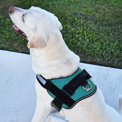 Dogline Dog Harness, Reflective No-Pull Adjustable Vest with Handle for Walking, Training, Breathable, No - Choke Harness for Small, Medium or Large Dogs Room for Patches Girth 27 to 34 in Turquoise