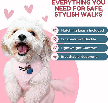 No-Pull, No-Choke Dog Harness & Leash Set – Stylish & Fun – Lightweight, Breathable Neoprene – Unique Heart Pattern – Adjustable for Extra Small Dogs (Harness Leash Set-Pink, X-Small)