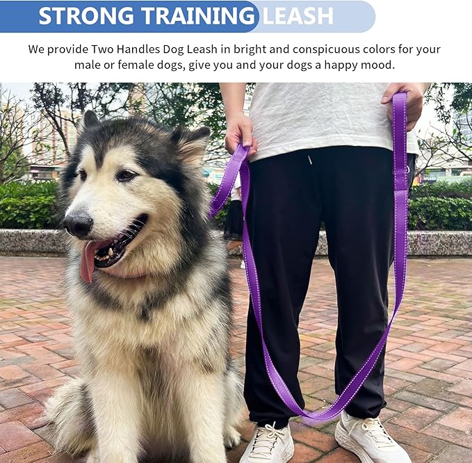 Strong Heavy Duty Dog Leash - 6ft Reflective Nylon Training Leash with Soft Padded Double Handle & Auto Lock Frog Clip, Safety Traffic Control for Large Medium Small Dogs No Pull Walking Purple,6ft