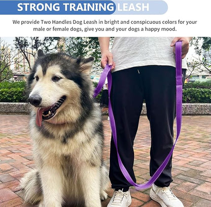 Strong Heavy Duty Dog Leash - 6ft Reflective Nylon Training Leash with Soft Padded Double Handle & Auto Lock Frog Clip, Safety Traffic Control for Large Medium Small Dogs No Pull Walking Purple,6ft