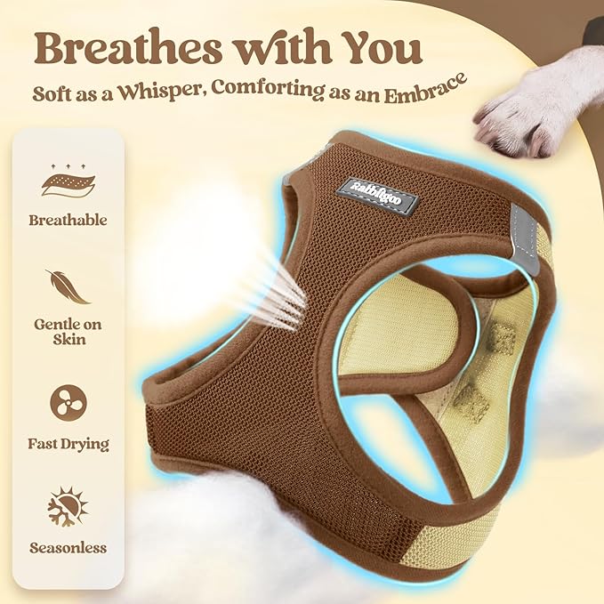rabbitgoo Dog Harness Small Sized and Leash Set, Step in Soft Light Puppy Vest, Breathable Mesh Pet Harness, Reflective for Safe Easy Walking, Brown & Beige XS