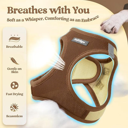 rabbitgoo Dog Harness Small Sized and Leash Set, Step in Soft Light Puppy Vest, Breathable Mesh Pet Harness, Reflective for Safe Easy Walking, Brown & Beige XS