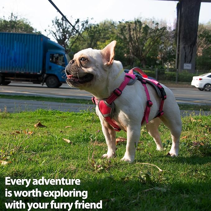 Huntboo Escape Proof Dog Harness, Escape Artist Harness, Reflective Dog Harness with Handle, Durable,Adjustable Vest for Small Medium Large Dogs Walking, Training, and Running Gear(Rose Red, XL)
