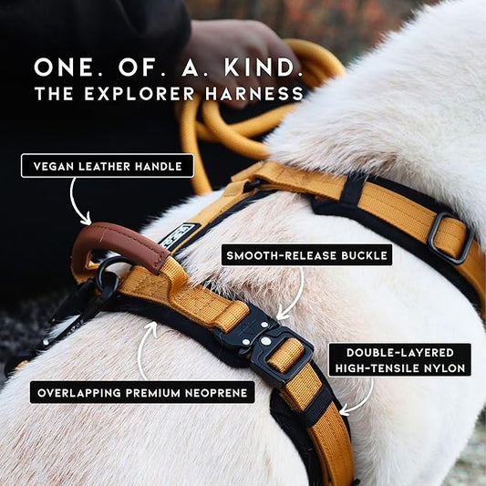 MADE TO ROAM Premium Explorer Harness - Y-Shaped Dog Harness with Adjustable Durable Nylon, Soft Padding, Metal Buckles and Leather Handle for Small, Medium, Large Dogs (Maine Marina, Size 1)