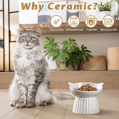 Wellbro Ceramic Raised Cat Bowl，Tilted Raised Cat Bowl Anti Vomit Cat Bowls for Indoor Cats Whisker Friendly Pet Feeder for Cats Puppies, Microwave and Dishwasher Safe