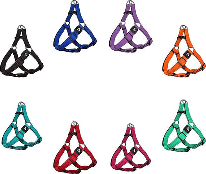 Kruz No Pull Dog Harness (Chest 26”-38”, Weight 44-88 lbs) Heavy-Duty Pet Harness for Large Breeds, Ultra-Comfort Fit, Lifetime Durability, Adjustable Dog Harness No Pull Design (Blue, Large)