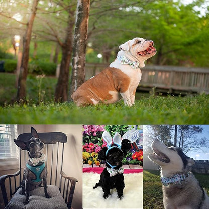 Easter Dog Collar with Bow Tie - Adjustable Easter Eggs Dog Collar Classic Bowtie Metal Buckle Puppy Collars for Small Medium Large Dogs M