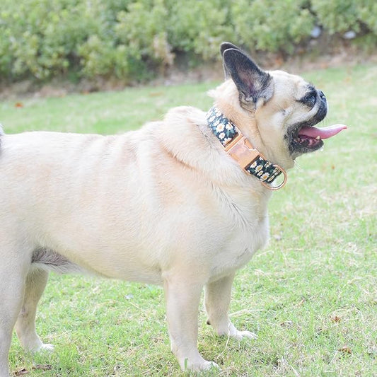 Metal Buckle Dog Collar, Durable Adjustable Dog Collar Soft for Small Medium Large Dogs (001-Black Flower, L(15-23in)