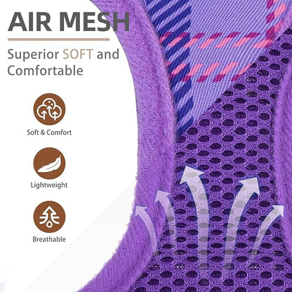 PUPTECK Dog Harness and Leash Set for Small Medium Dogs No Pull Step-in Soft Mesh Puppy Cat Vest Harnesses Reflective at Night, Plaid Pattern Purple XS