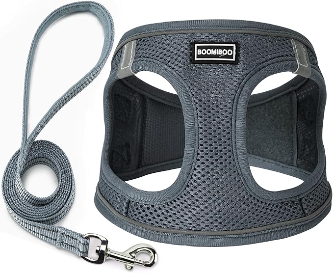 Dog Harness with Leash Set, No Pull Adjustable Reflective Step-in Puppy Pet Vest Harnesses for Small Medium Large Dogs and Cats,Grey L