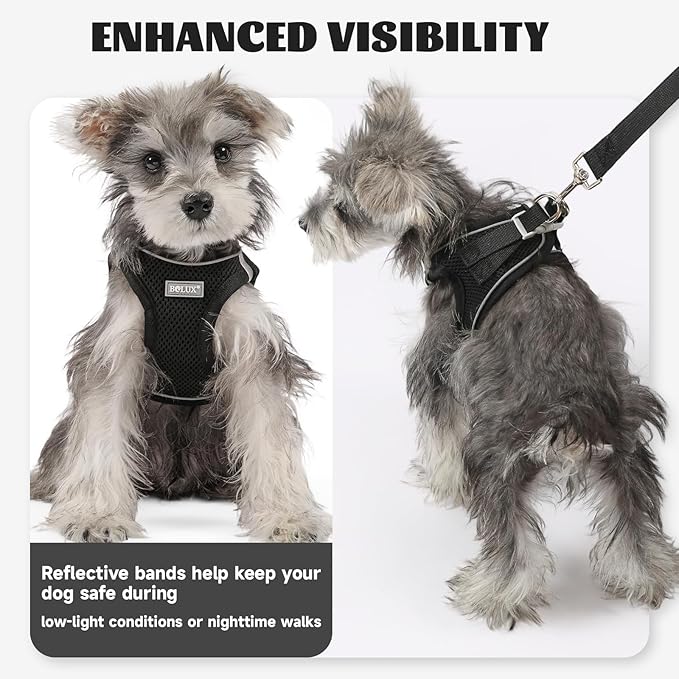 Bolux Dog Harness Small Sized and Leash Set, Step in Soft Light Puppy Vest, Breathable Mesh Pet Harness, Reflective for Safe Easy Walking.