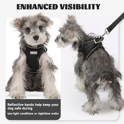 Bolux Dog Harness Small Sized and Leash Set, Step in Soft Light Puppy Vest, Breathable Mesh Pet Harness, Reflective for Safe Easy Walking.
