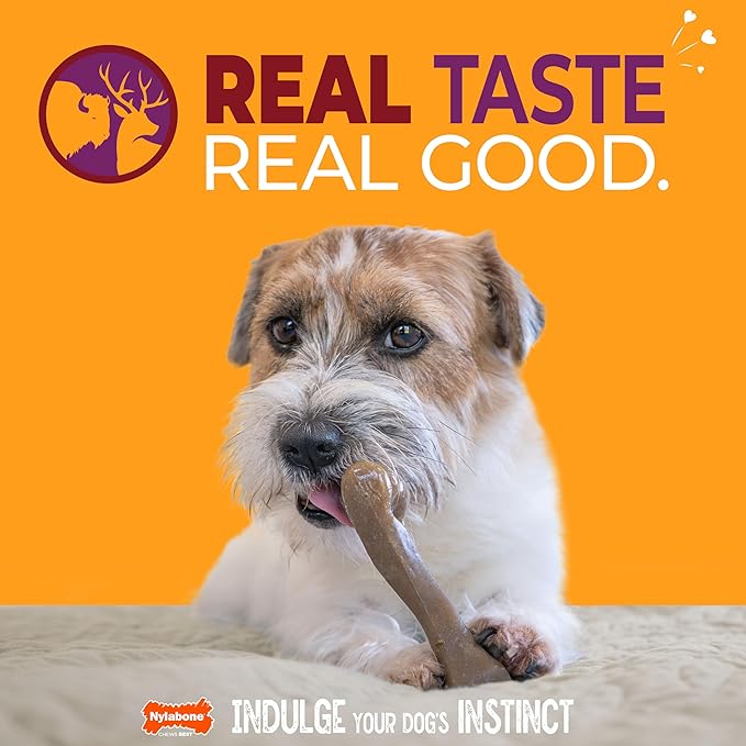 Nylabone Femur Bone Strong Chew Toy for Dogs Made with Real Bison & Venison, Durable Dog Chew Bones for Aggressive Chewers, Long-Lasting Flavor Keeps Dogs Busy, Small Dog Toys - Up to 25 lbs, 1 Count