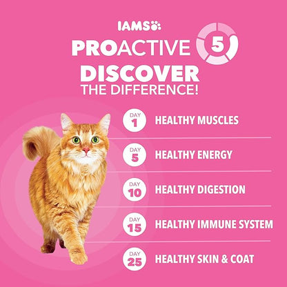 IAMS Proactive Health Adult Sensitive Digestion & Skin Dry Cat Food with Turkey, 13 lb. Bag