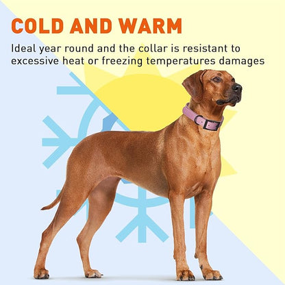 Dogline Biothane Waterproof Dog Collar Strong Coated Nylon Webbing with Black Hardware Odor- Proof for Easy Care Easy to Clean High Performance Fits Small Medium or Large Dogs, Pastel Purple