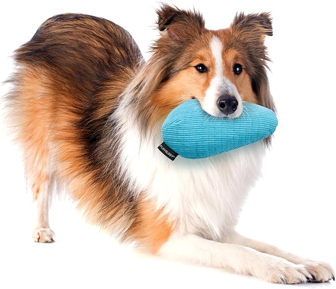 Playology Dog Toys | Plush Toy Crinkle Egg for Dogs | Jumbo Peanut Butter Scented Toy - Easy to Clean and Made from Non Toxic Materials