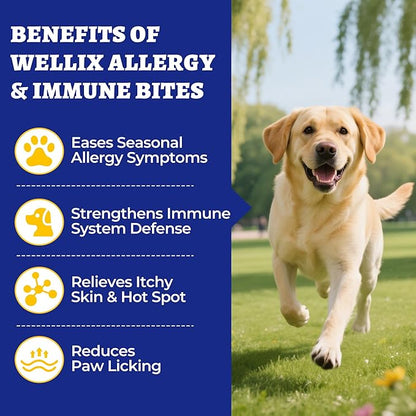 260 Bites Wellix Dog Allergy Chews & Immune Support, Anti Itch Dogs Chews - Dog Antioxidant Supplements - for Puppy, Small Medium & Large Dogs