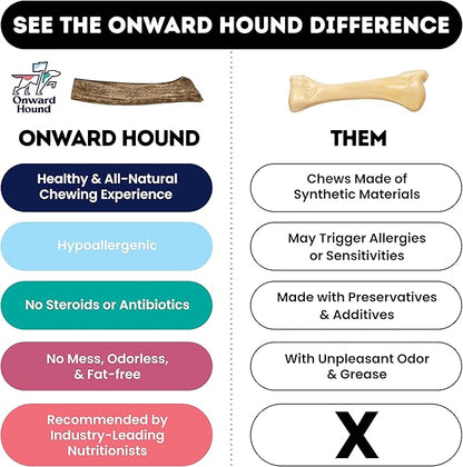 Onward Hound Elk Antlers for Dogs, 7"+ Large 3-Pack, Grade A Long Lasting Chew for Aggressive Chewers, Premium USA Naturally Shed Antler - Healthy, No Odor, Durable Dog Chew for 30-65lb Breeds