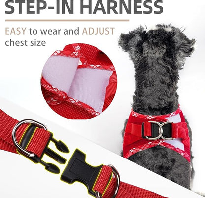 PUPTECK Dog Harness and Leash Set for Small Medium Dogs No Pull Step-in Soft Mesh Puppy Cat Vest Harnesses Reflective at Night, Red, M