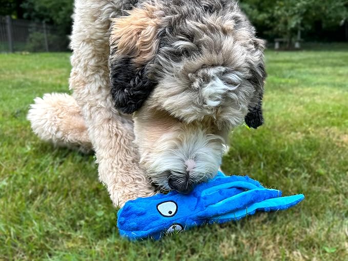 Octopus Dog Toy – Squeaky & Crinkle Plush – No Stuffing Toy for Small, Medium & Large Dogs – Interactive Pet-Safe Soft Toy for Tug, Fetch & Play – Blue– Tail Town