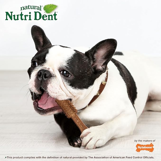 Nylabone Nutri Dent Dog Dental Chews, Natural Teeth Cleaning Dental Treats & Breath Freshener for Dogs, Filet Mignon Flavor, Medium (40 Count)